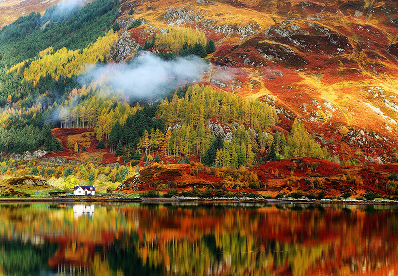 cao nguyên Scotland mùa cây thay lá