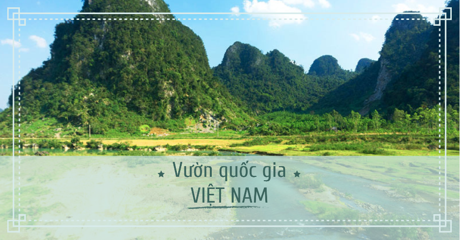 Các khu vườn quốc gia ấn tượng và nổi tiếng nhất ở Việt Nam