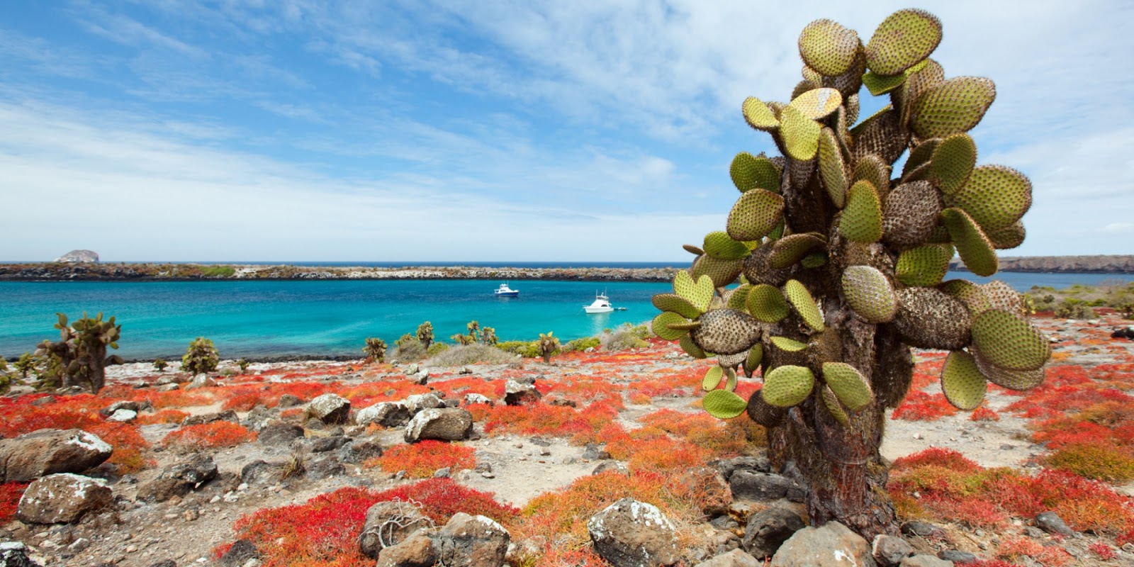 Danh lam thắng cảnh Ecuador: Quần đảo Galapagos