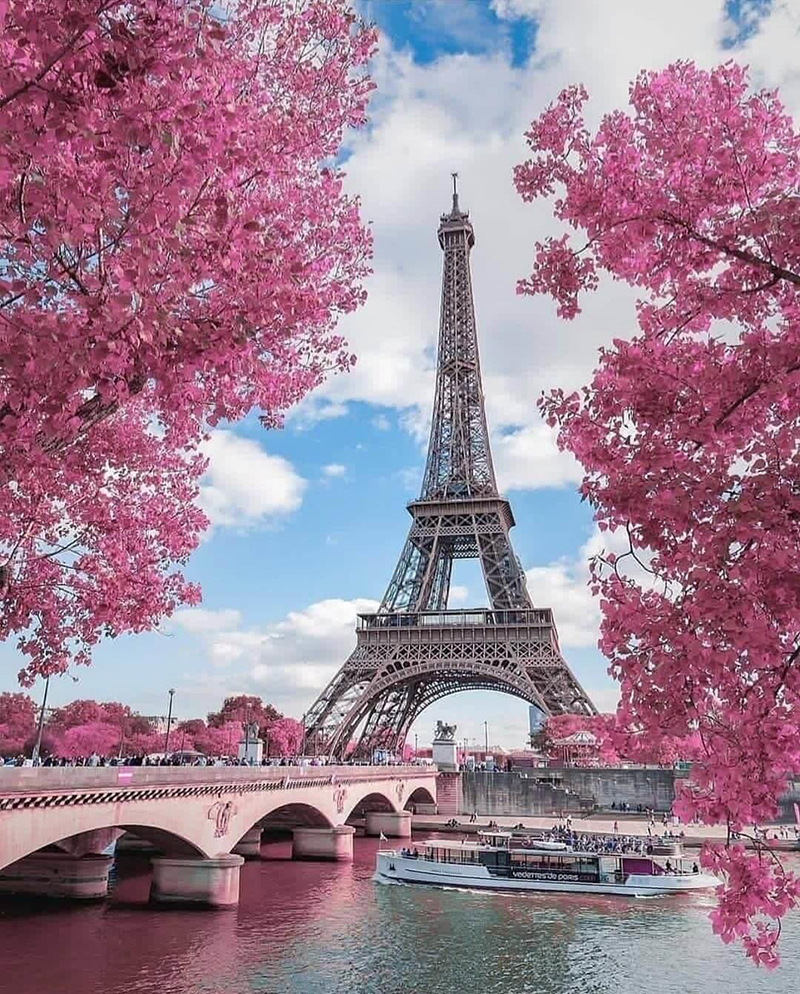 Paris vào mùa xuân hấp dẫn ở điểm gì?
